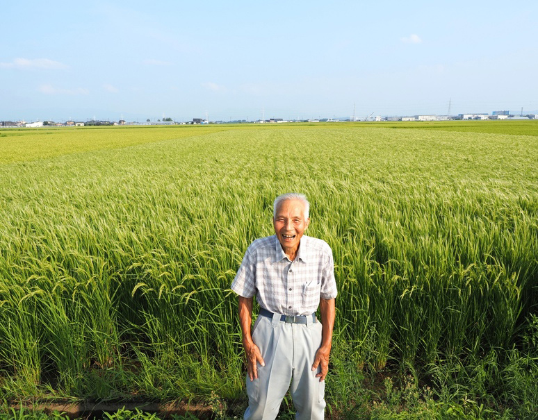 さんごヤマブシタケ