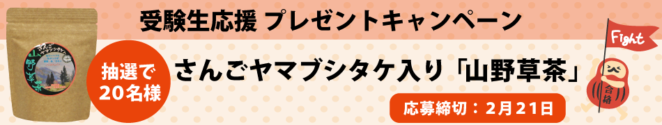 さんごヤマブシタケ入り「山野草茶」を抽選で20名様にプレゼント